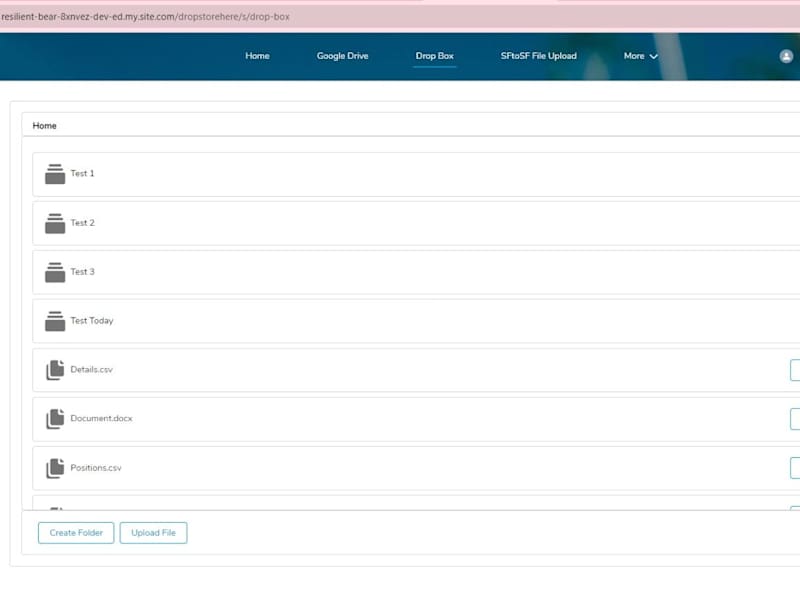 Cover image for Cloud Storage Integration with Salesforce