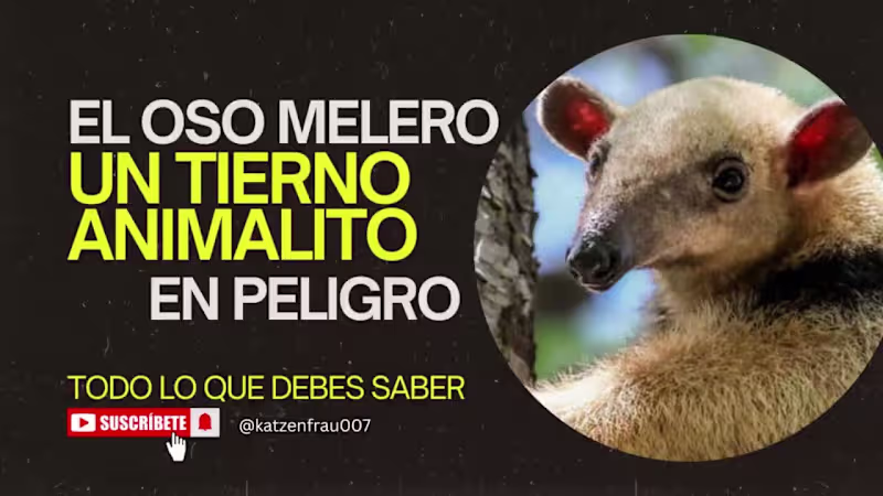 Cover image for Para Gente Ocupada - EL OSO MELERO o Tamandúa: un tierno animal…
