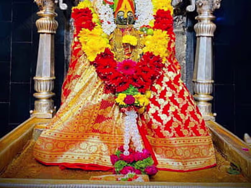 Cover image for Science exhibition 