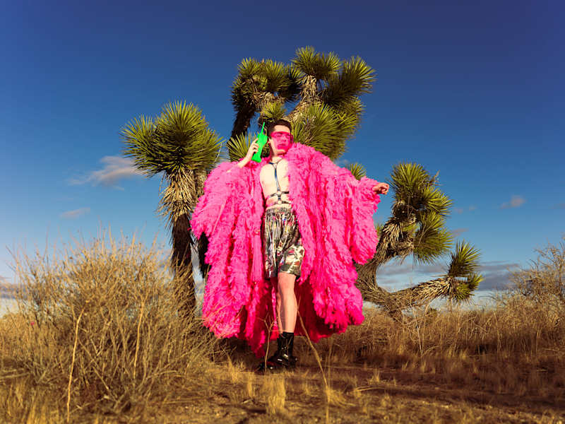 Cover image for Hollyweird