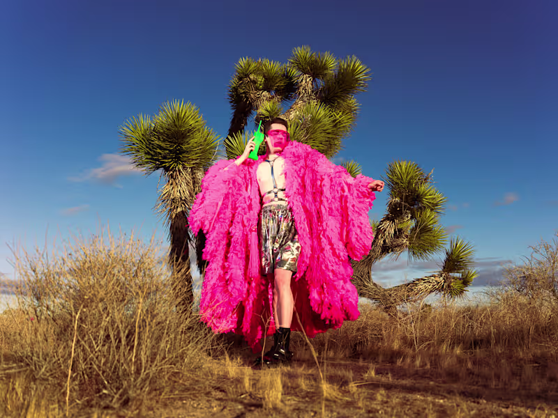 Cover image for Hollyweird