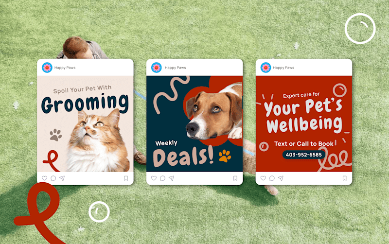Cover image for Ads for Local Pet Care Services