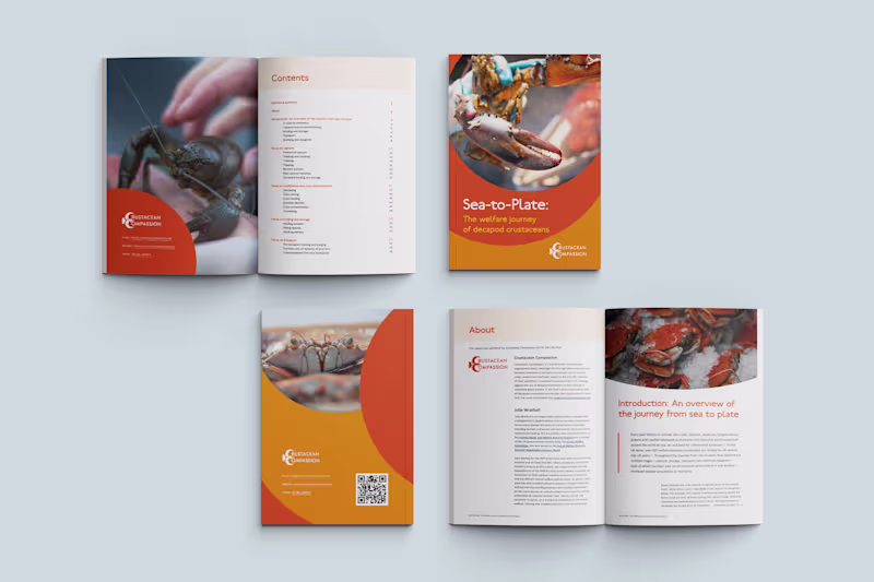 Cover image for Crustacean Compassion