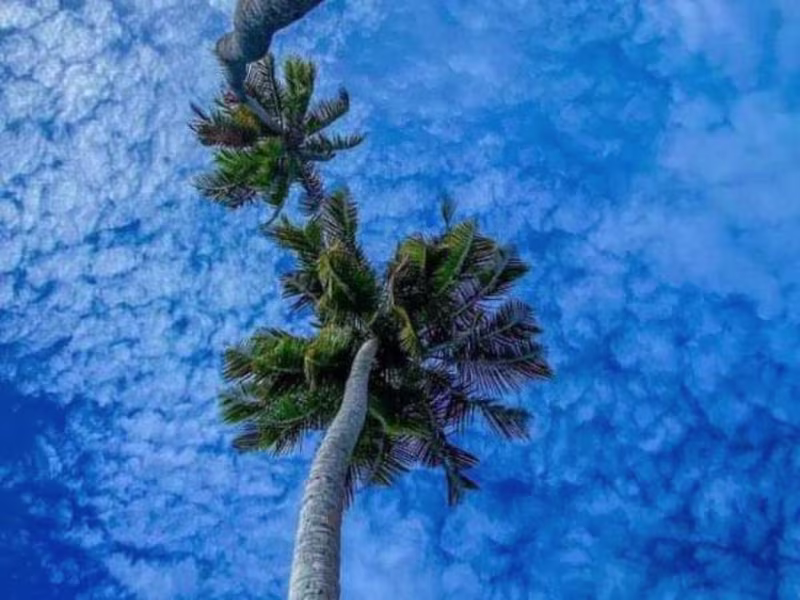 Cover image for Subscription Based Streaming App 