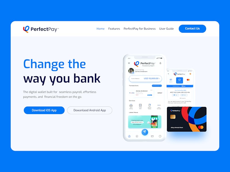 Cover image for PerfectPay Website Design