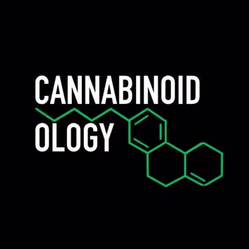 Cover image for TikTok