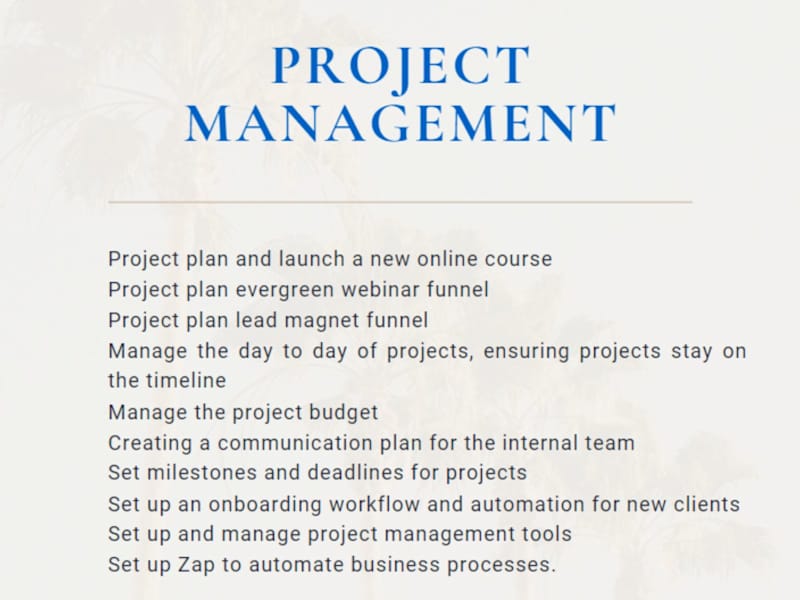 Cover image for Overwhelmed with projects planning? Let me handle that.