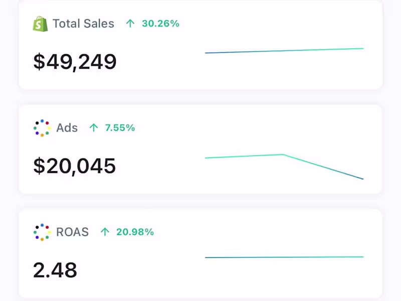Cover image for Performance-Based Q4 Ad Campaign Management & Shopify Scaling