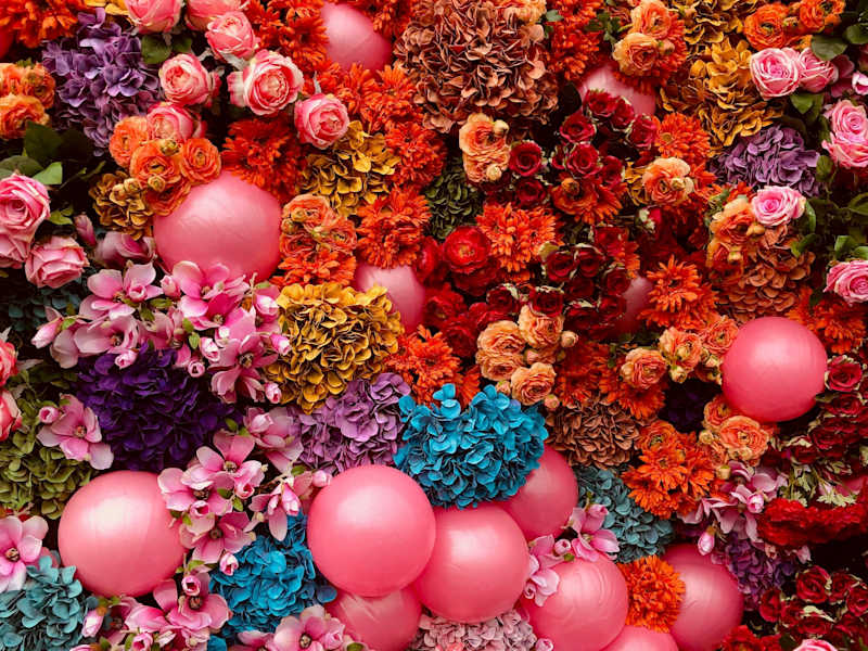Cover image for Birthday Preparation for Client's Wife