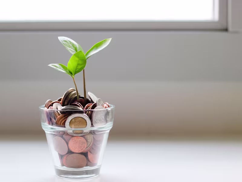 Cover image for Business & Personal Finance Article Writing