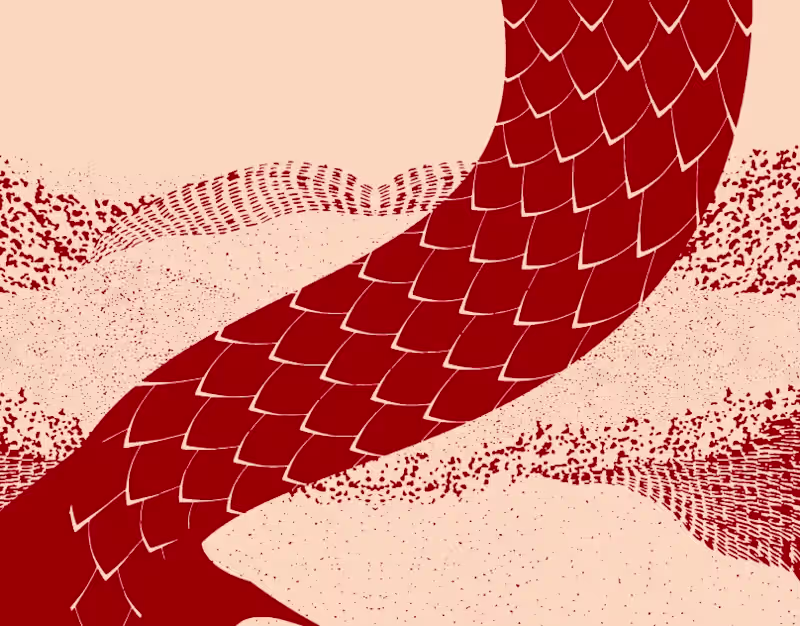 Cover image for Big screen animation in Shenzhu