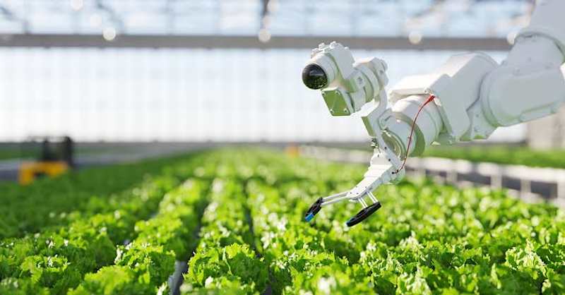 Cover image for Farms and Foods: AI’s Revolutionary Impact on Agro and Food.
