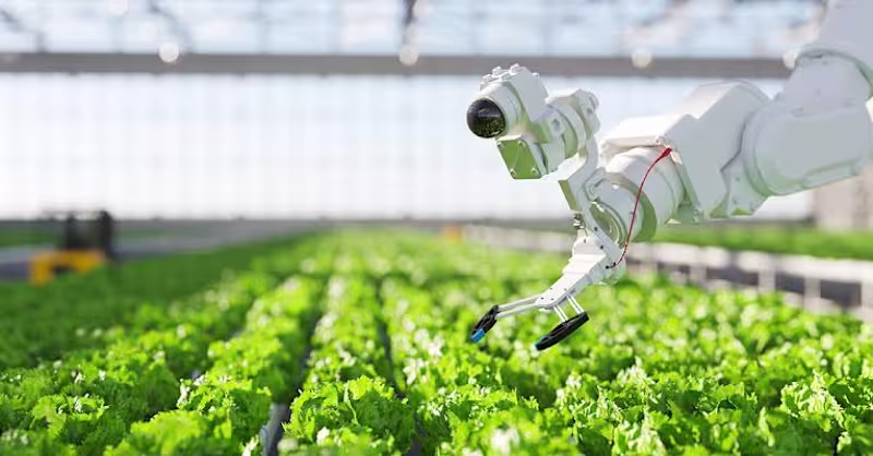 Cover image for Farms and Foods: AI’s Revolutionary Impact on Agro and Food.