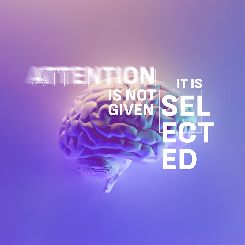 Cover image for In neuromarketing, attention is not