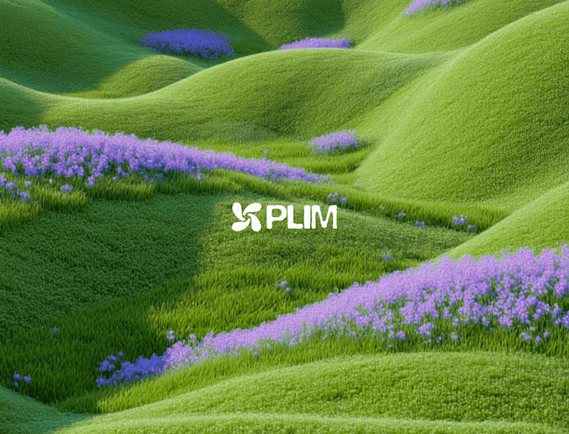 Cover image for Plim