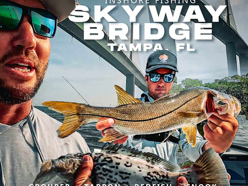 Cover image for Landed Fishing