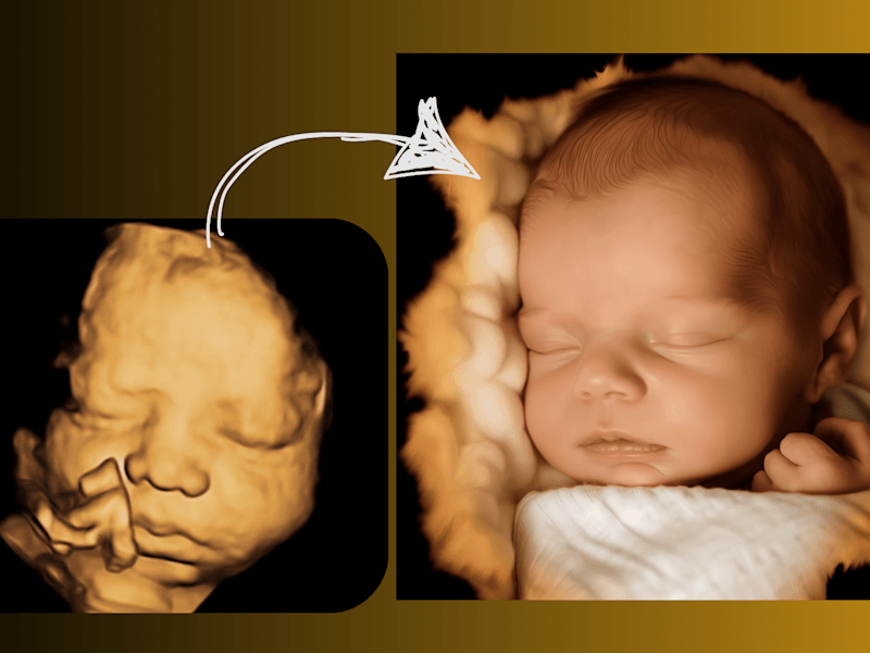 Cover image for I create portraits that predicts the look of your unborn baby!