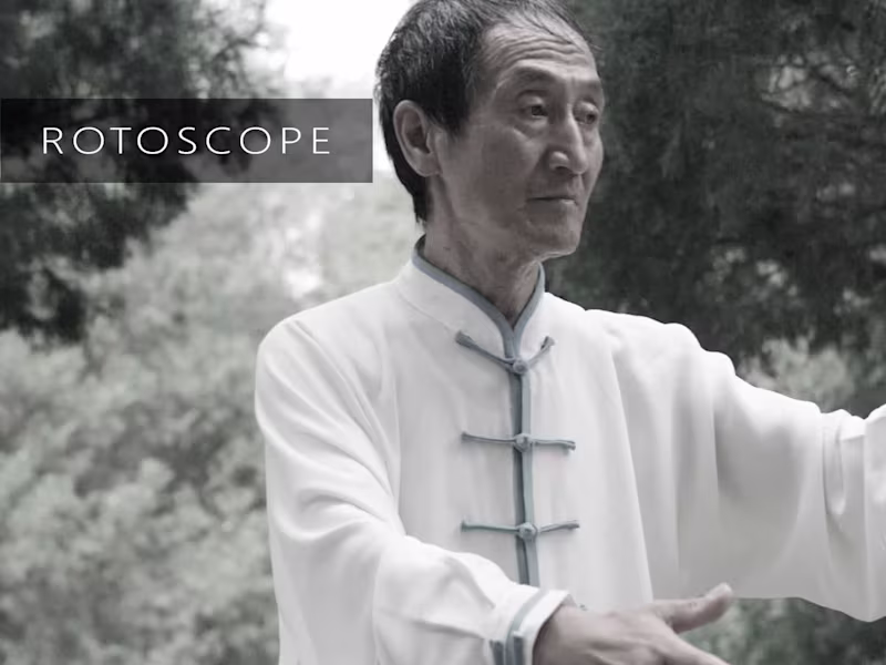 Cover image for Rotoscopy Work