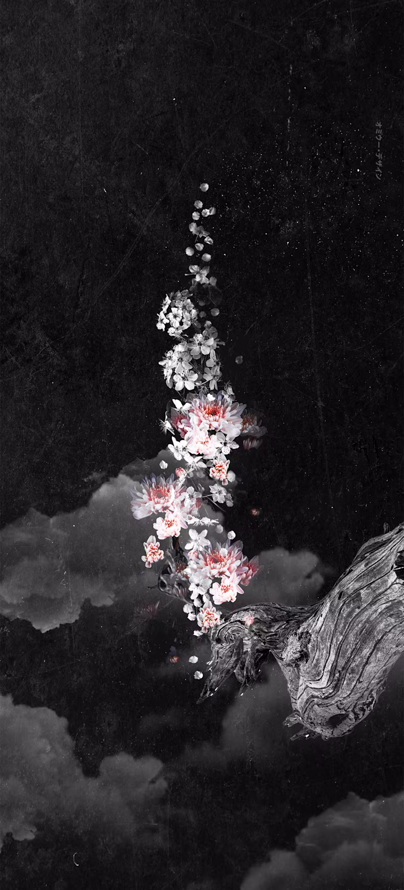 Cover image for VISUAL ARTWORK