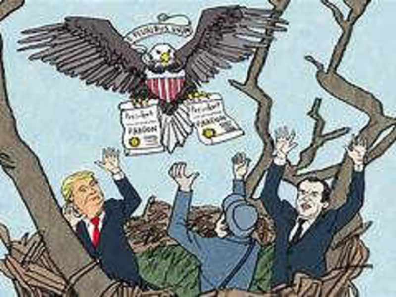 Cover image for Pardon Power
