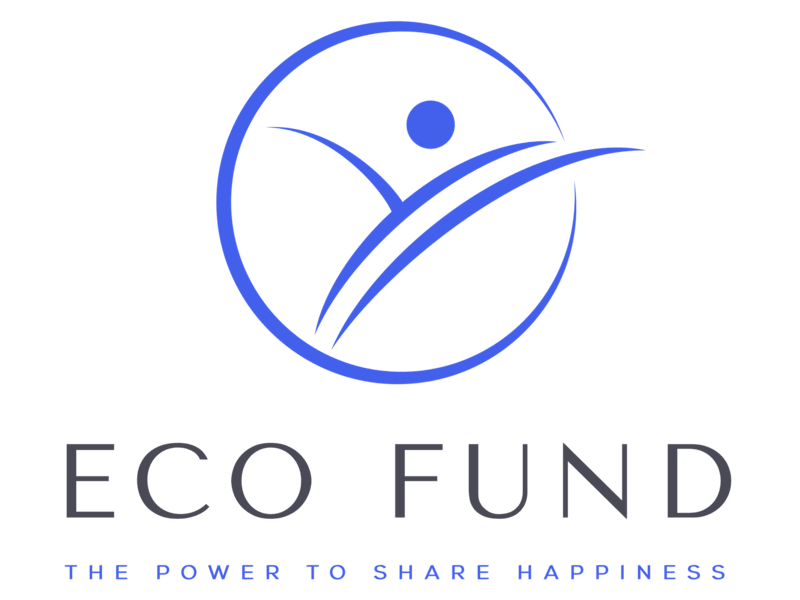 Cover image for Economic Foundation