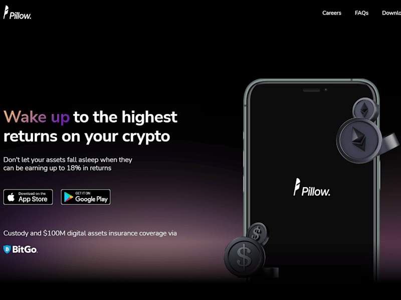 Cover image for Pillow Fund