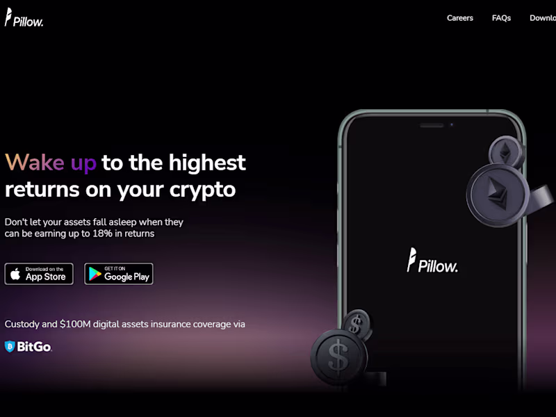 Cover image for Pillow Fund