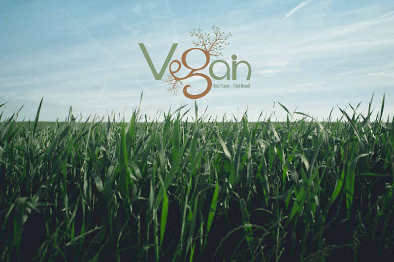 Cover image for VeganGain Logo for Plant Based Living for Better Planet 