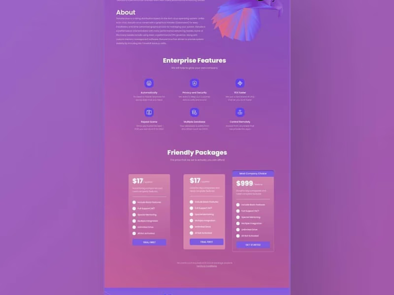 Cover image for Web Developer with code or WordPress Developer