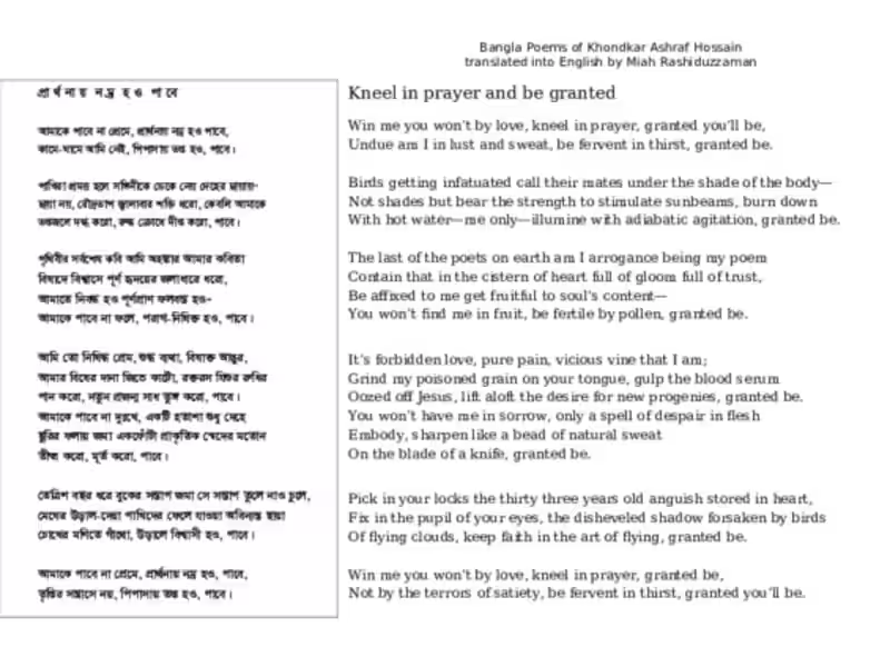 Cover image for Translator