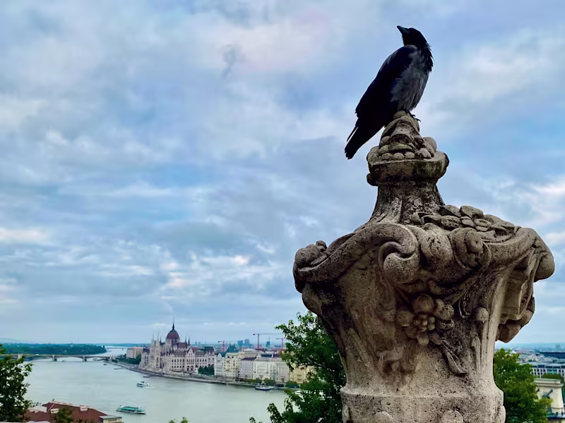 Cover image for Making good writing great through editing