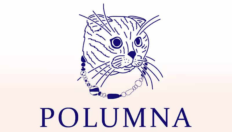 Cover image for Branding & packing for POLUMNA (UA handcrafted jewelry) on Beha…