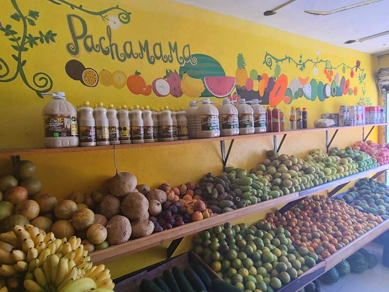 Cover image for Fruits art mural at a market in Puerto Morelos, México