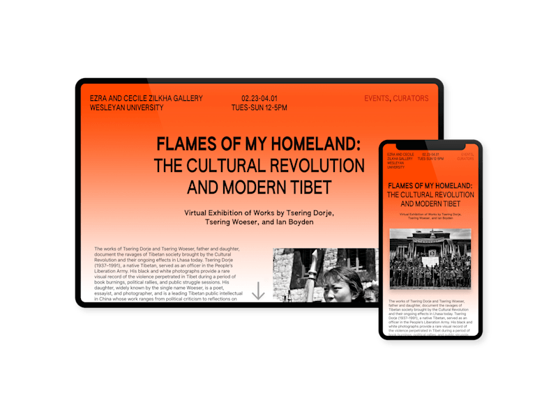 Cover image for flamesofmyhomeland.org