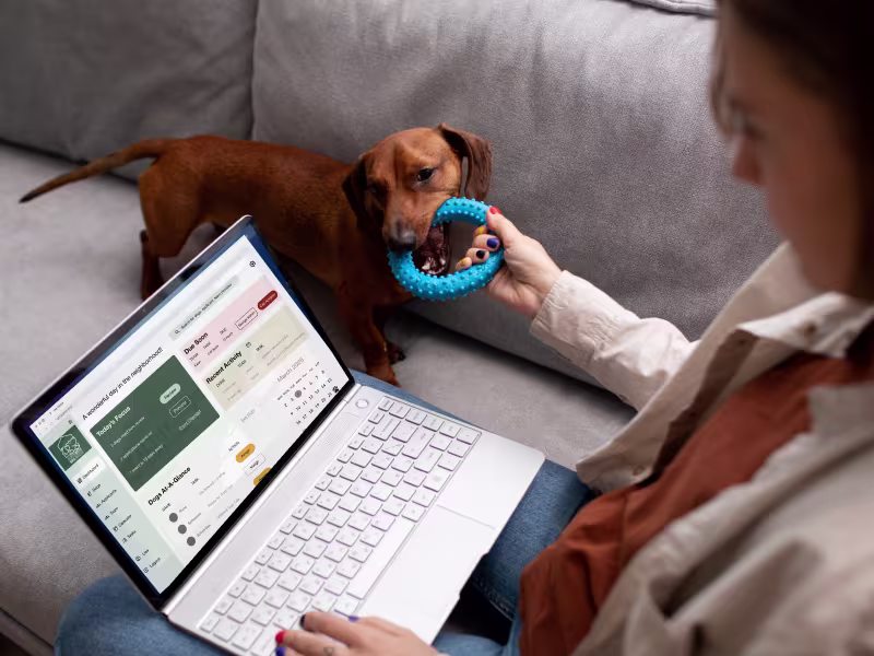 Cover image for Internal Dashboards & Operational Tools for Studios