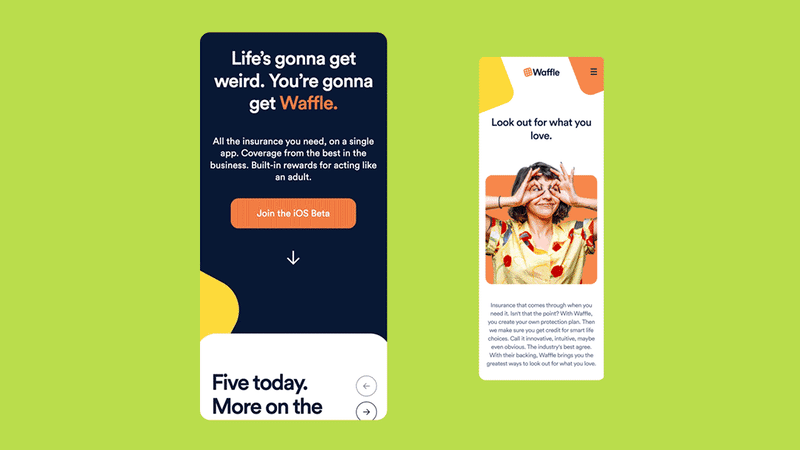 Cover image for Waffle Insurance 