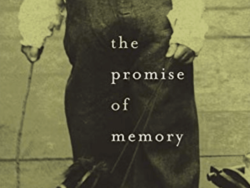 Cover image for The Promise of Memory