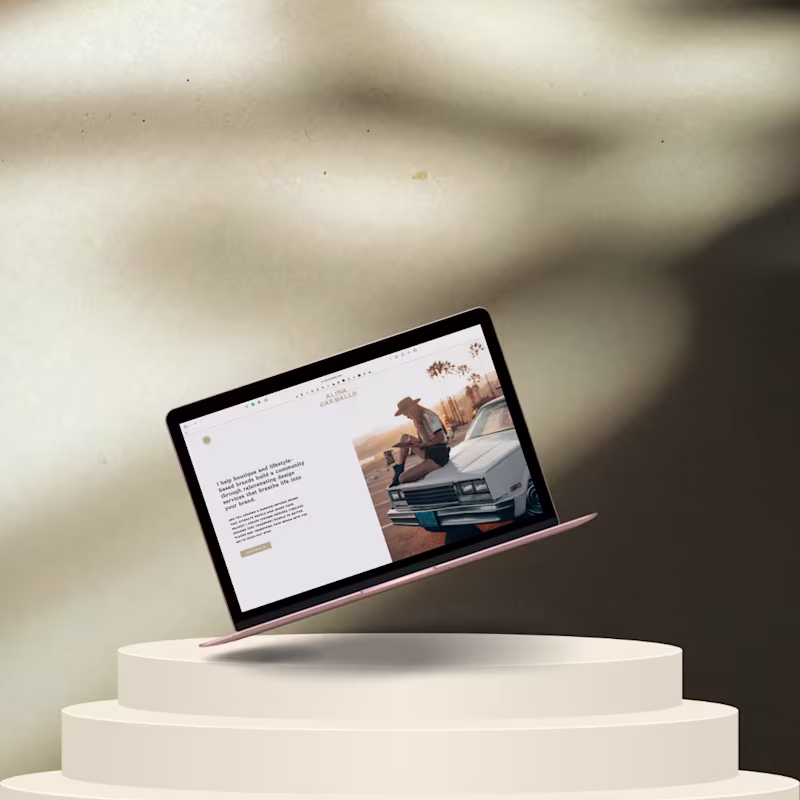 Cover image for Website Copy for Alina Carballo