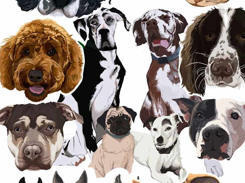 Cover image for Personalised Pet Portrait 
