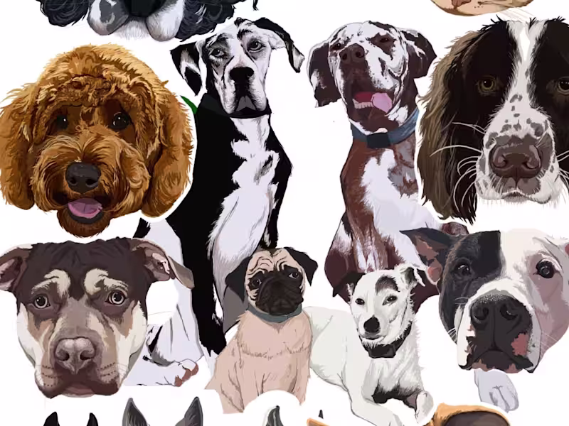 Cover image for Personalised Pet Portrait 