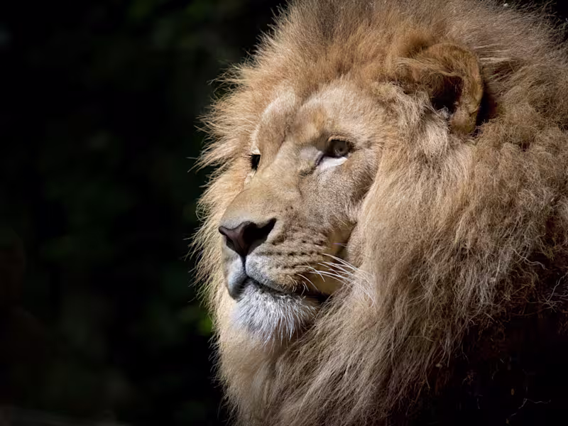 Cover image for Project Management & VA to Keep You Organized and On Track