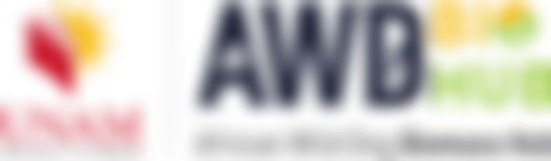 Cover image for Blogger 