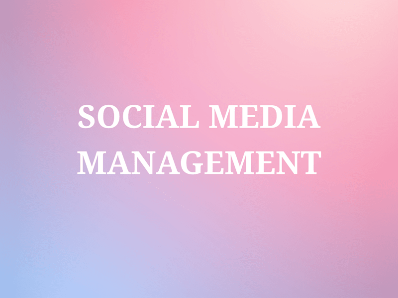Cover image for Social Media Management Bundle
