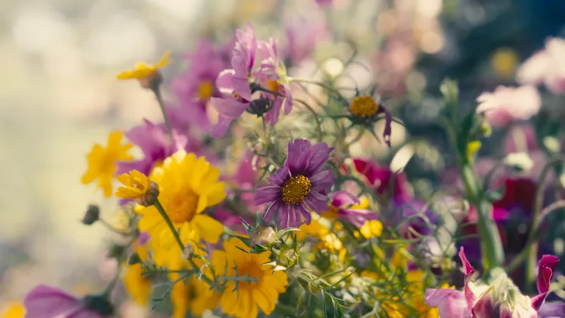 Cover image for Magpie Floral | Brand Story