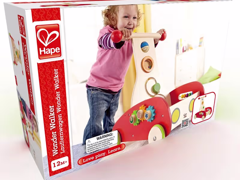 Cover image for The Wonder Walker