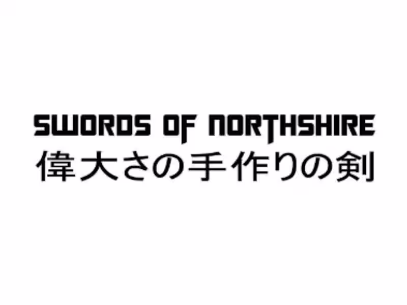 Cover image for Email Marketing (Swords of Northshire)