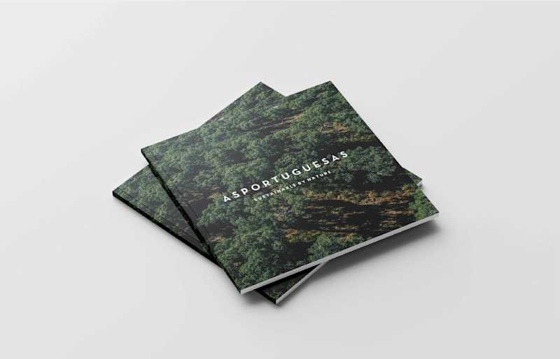 Cover image for ASPORTUGUESAS