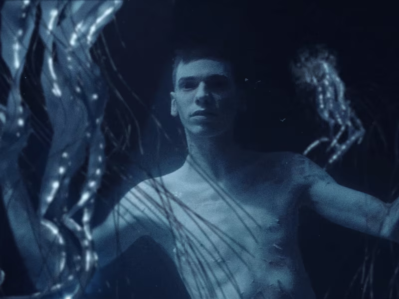 Cover image for The Womb (FX)