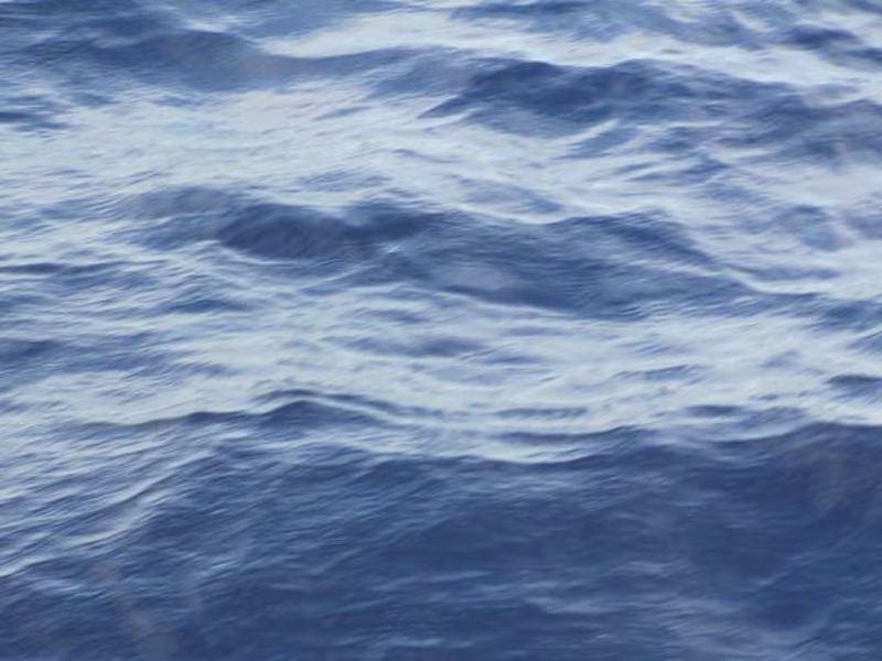 Cover image for Marketing Strategy & Project Execution