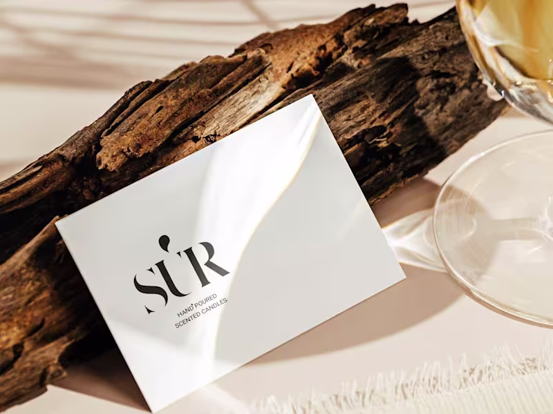 Cover image for Captivating Brand Idenities